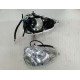 HEAD LIGHT ASSY